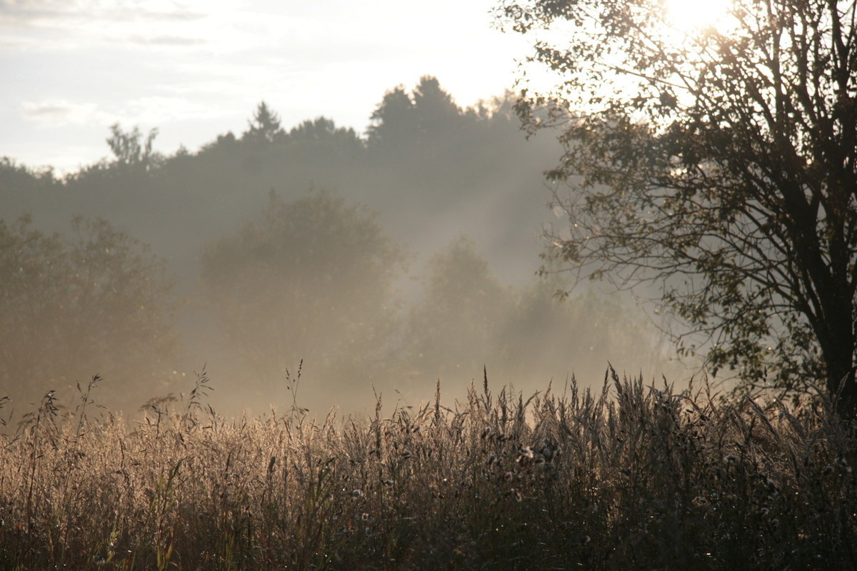 Версии исчезновения семьи Усольцевых в Красноярском крае стали более странными
