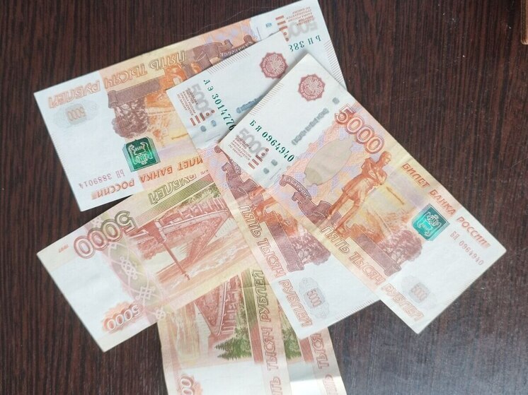 Жительница Любытино заплатит штраф за вранье про украденные деньги