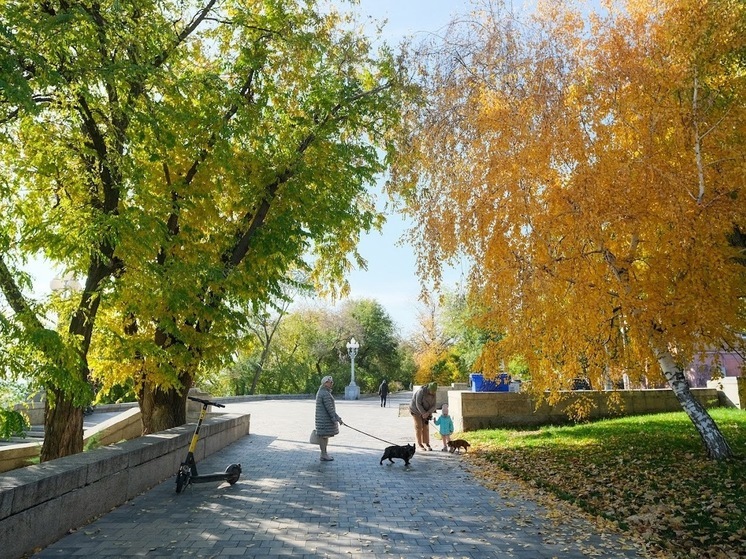 Вирусы атакуют: как волгоградцам не заболеть ОРВИ осенью