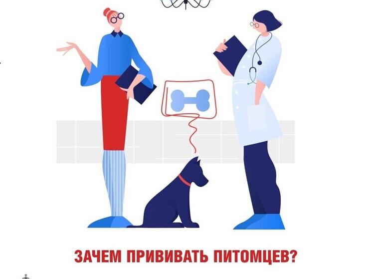 Всемирный день животных: псковичам рассказали, почему вакцинация питомцев – это жизненно важно