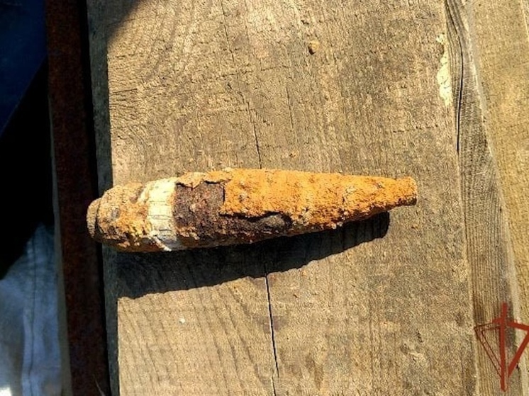 В деревне под Красноярском саперы обезвредили артиллерийский снаряд времен войны