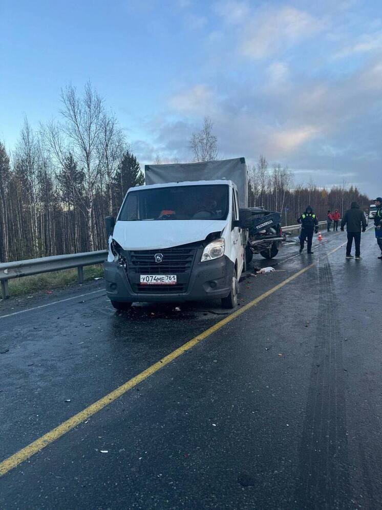 Прокуратура разбирается в смертельном массовом ДТП на дороге Сургут — Салехард