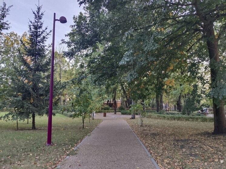 Белгородцев ожидает теплое воскресенье