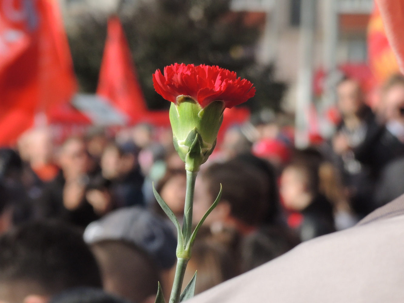 Символика событий 1993 года