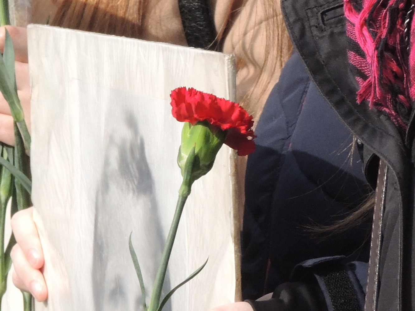 Прохожие наблюдают за акцией