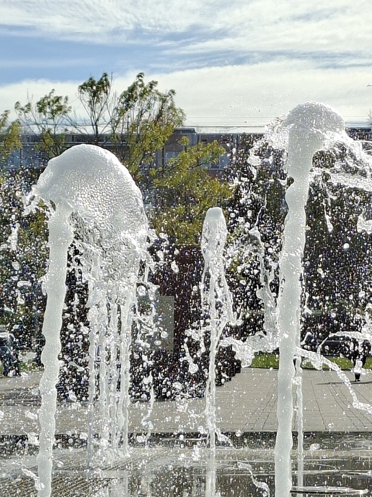 Псковскую область ожидает переменчивая погода с осадками 5 октября