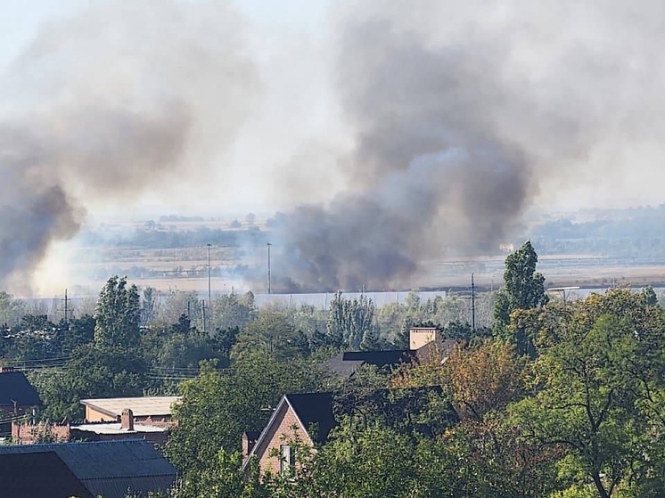 Крупный ландшафтный пожар произошел в Азове Ростовской области