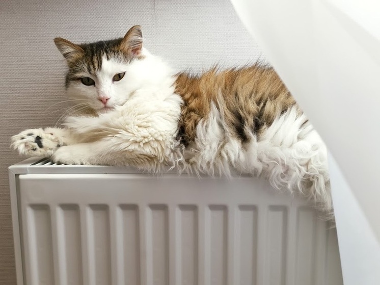 Отопительный сезон досрочно стартовал в 9 муниципалитетах Волгоградской области