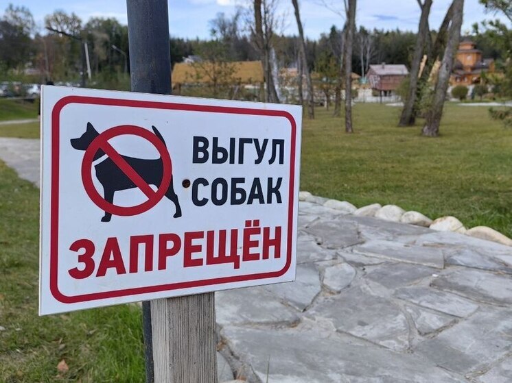 Где гулять с собакой в Серпухове, чтобы не получить штраф? Полный список адресов