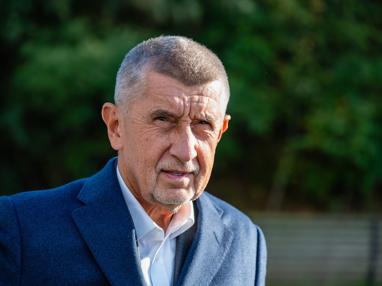 Стало известно о позиции Бабиша по вступлению Украины в ЕС