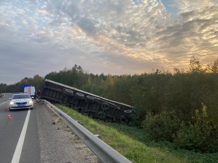 В Вытегорском округе погиб водитель вылетевшего в кювет грузовика