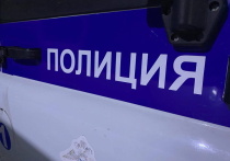 В субботу, 4 октября, на 664-м километре трассы «Челябинск — Новосибирск» произошло ДТП