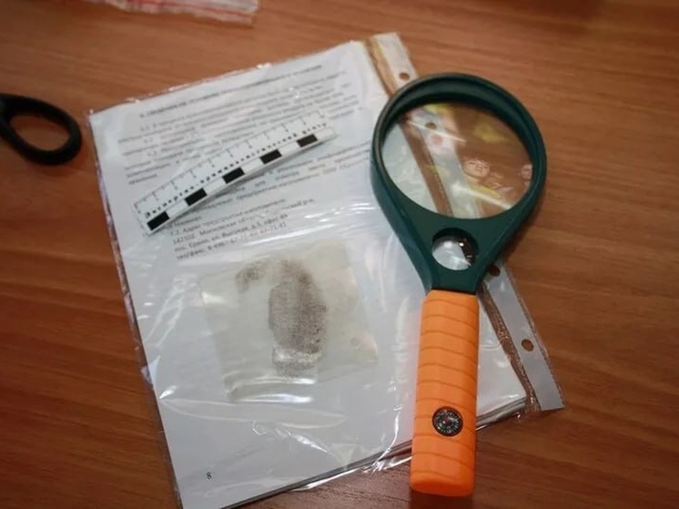 За 2025 год амурские полицейские отличились 100% раскрываемостью преступлений