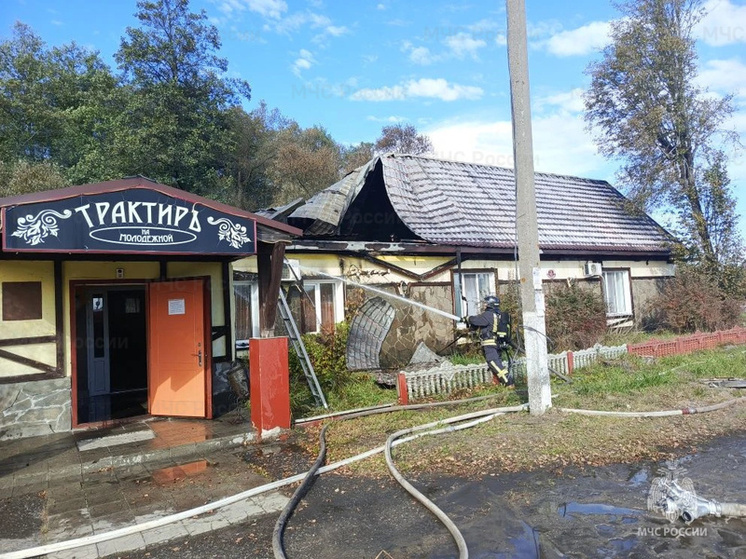В брянском поселке Домашово спасатели потушили пожар в кафе