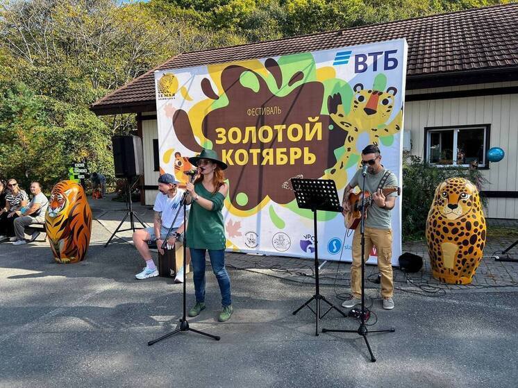 Итоги кошачьего фестиваля «Золотой котябрь» подвели в Приморье