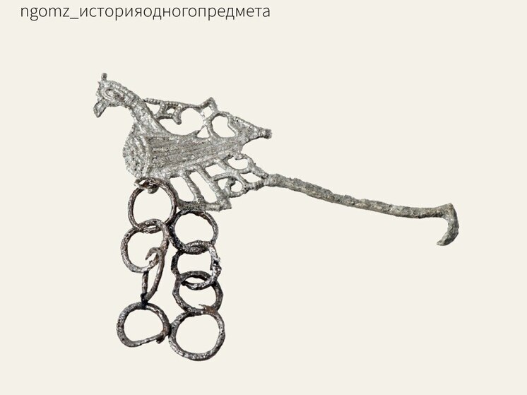 Булавка с изображением павлина была обнаружена в 1990 г. на усадьбе «М» Троицкого IX раскопа в слоях первой половины XIII века. Она хранится в археологической коллекции Новгородского музея и является редкой находкой, сообщили в пресс-службе культурного учреждения.