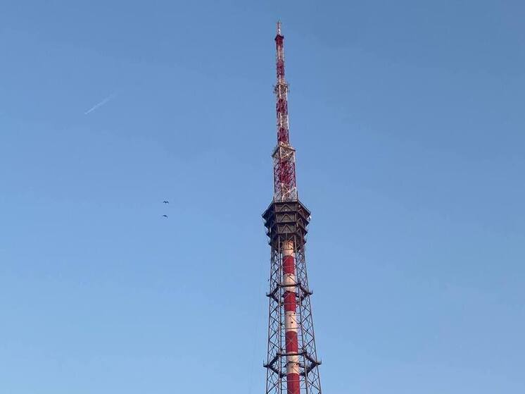Телебашня Петербурга символично засияет в День учителя