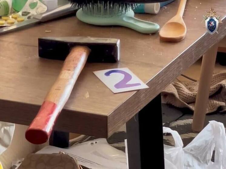 Девочки, обвиняемые в убийстве двух человек в Якутии, заключены под стражу