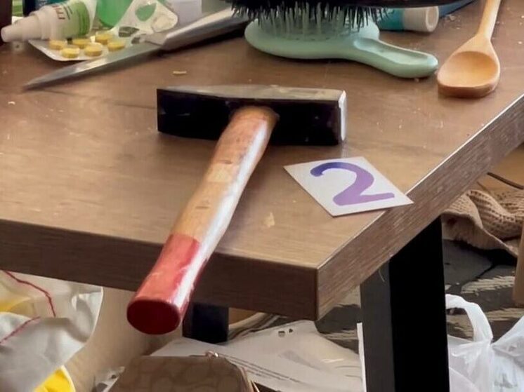 В Якутске суд заключил под стражу двух 16-летних девушек по делу об убийстве матери с ребенком