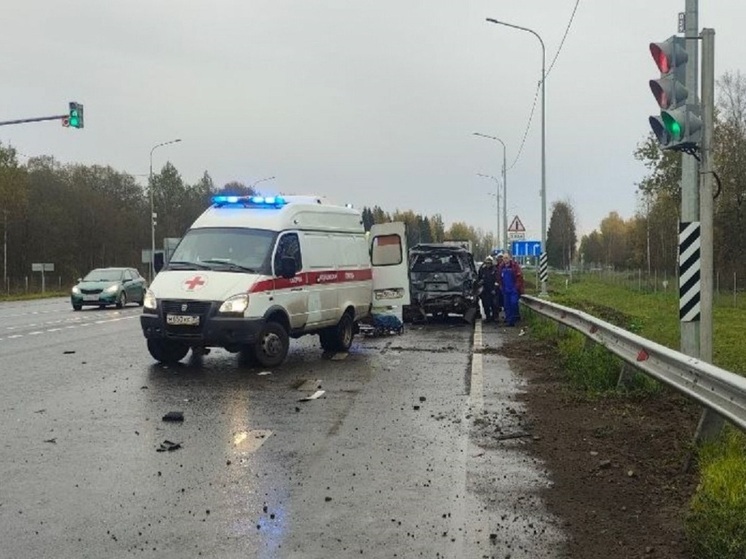 В Череповецком округе в ДТП погиб семилетний ребенок