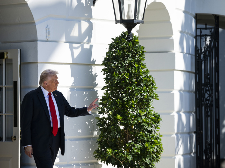Бой UFC пройдет в Белом доме в честь дня рождения Трампа