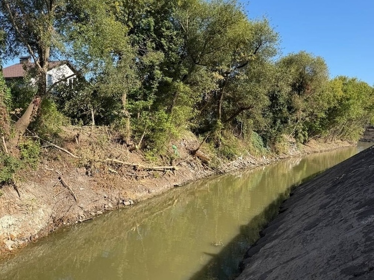 Расчистка реки Тускарь в Курской области отстает от графика