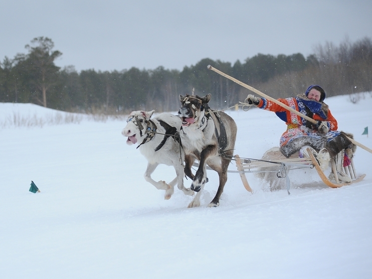 Северные регионы России лидируют по благосостоянию жителей