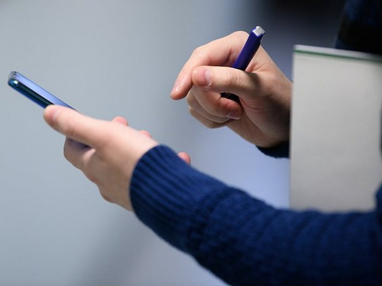 Юрист Хаминский: чтение соцсетей на работе может быть дисциплинарным проступком