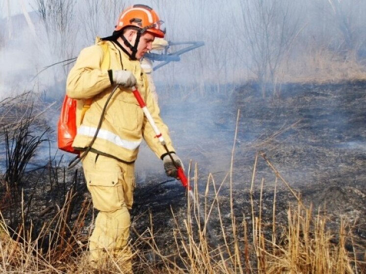 В Хабаровском крае за выходные ликвидирован лесной пожар на 8 га
