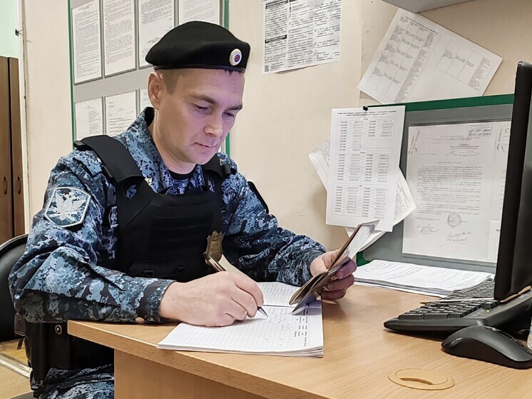 Агрессивные пчелы нападали на соседей: после штрафных санкций житель Кунгура ликвидировал пасеку