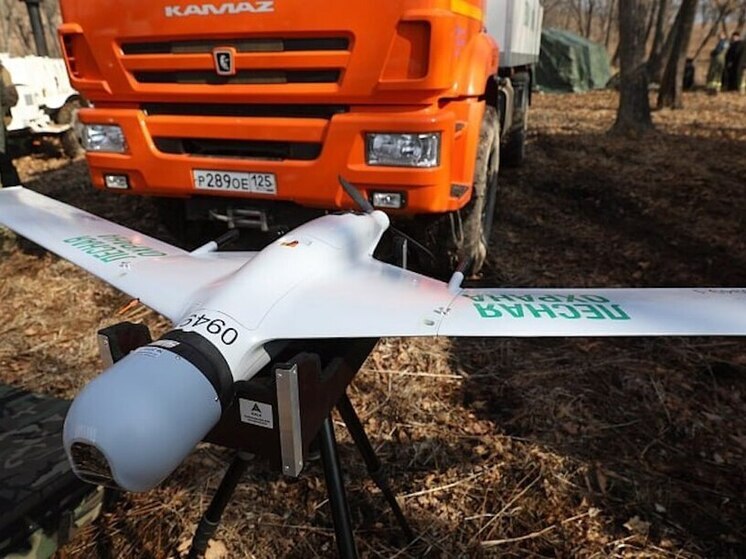 Приморье усиливает контроль за палами сухой растительности