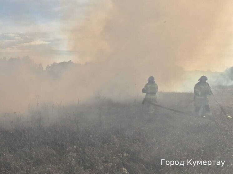 В Башкирии потушили один лесной и два ландшафтных пожара