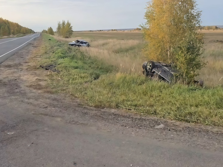 ДТП с 6 пострадавшими произошло в Нижегородской области