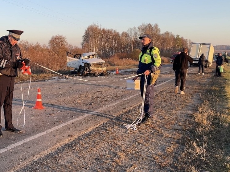 Водитель «Вольво» погиб в массовой аварии возле Камышлова