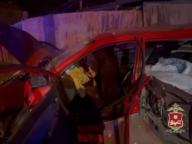 В Абакане иномарка улетела в кювет – погибла пассажирка