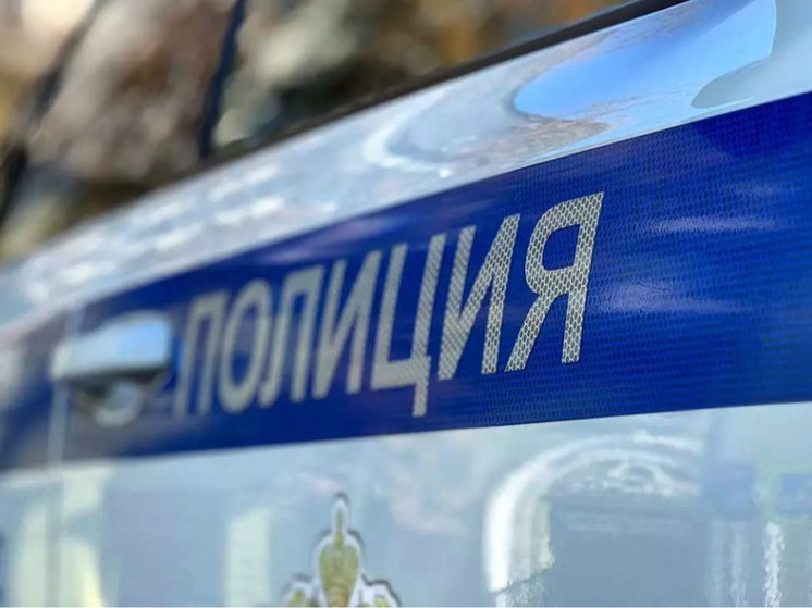 Похитившего рюкзак в ТЦ мужчину задержали в Воронеже