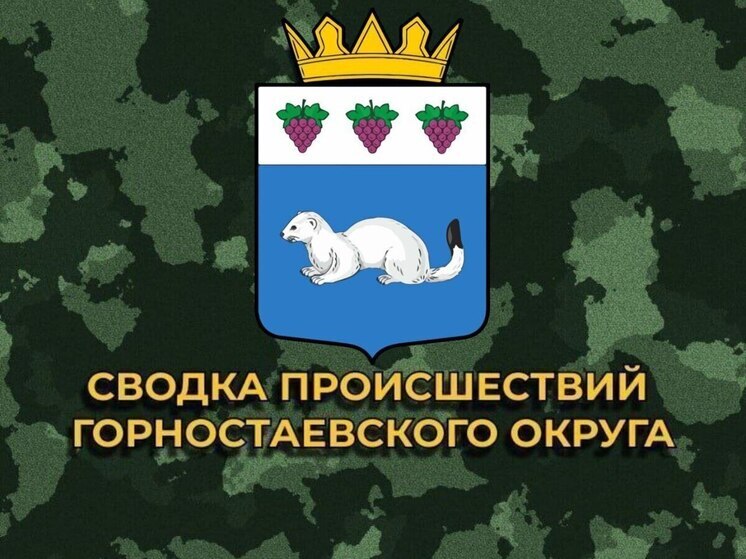За сутки боевики ВСУ 22 раза обстреляли Горностаевский  округ