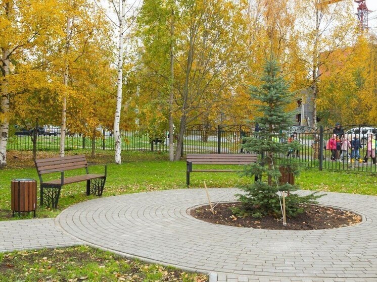В Архангельске открыли сквер «Три берёзы» у школы № 9