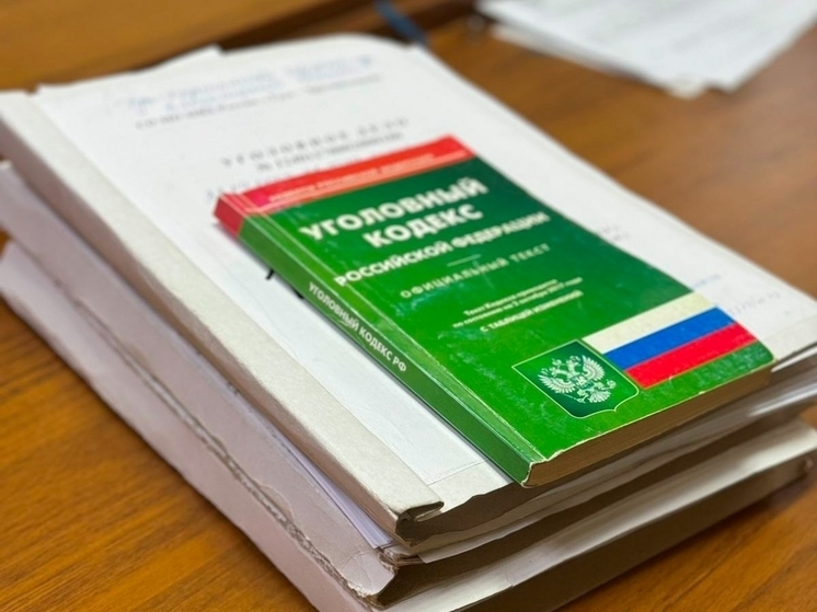 Житель Гусь-Хрустального оштрафован за ложный вызов полиции