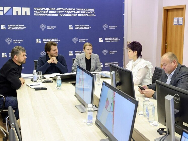 Эксперты представили предложения по развитию Генического округа