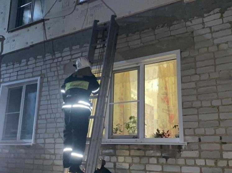 Пожарные Золотухинского района спасли ребенка, заблокированного в квартире