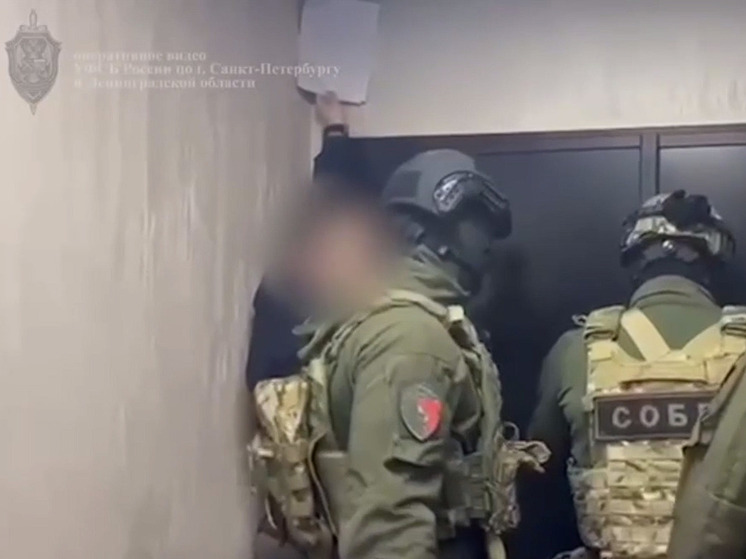 УФСБ по Петербургу и Ленобласти задержали майнера, похищавшего электроэнергию