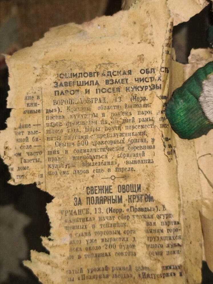 Старый дом Боровского главы приоткрыл свои тайны