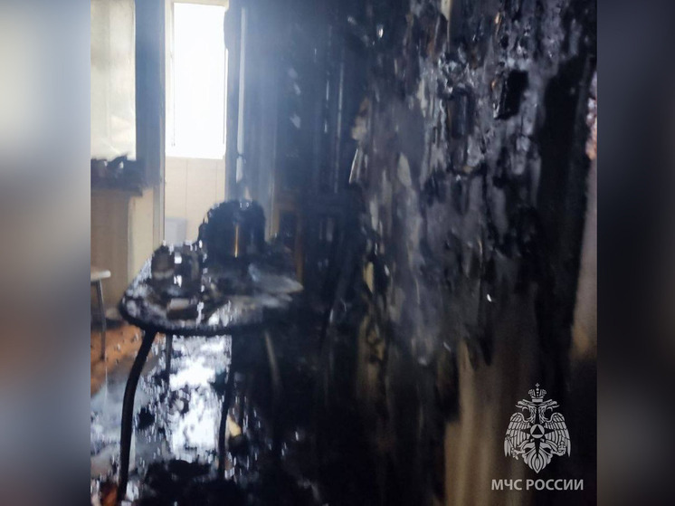 В Великом Новгороде пожарные спасли из горящей квартиры собаку