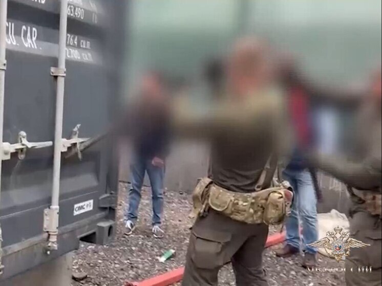 Полицейские нашли и ликвидировали майнинговые фермы в Петербурге и Ленобласти