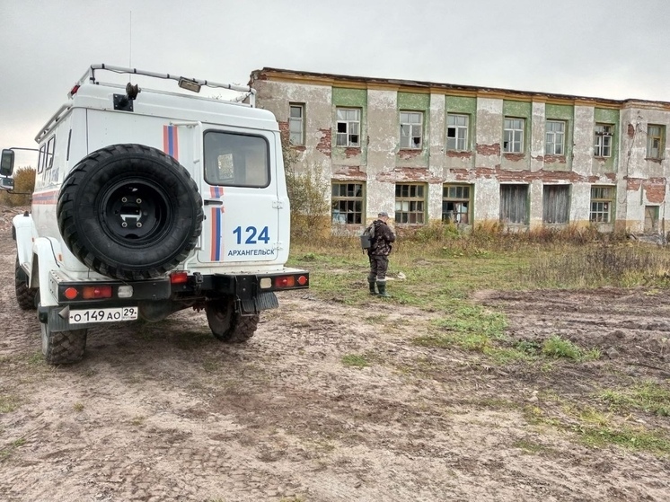 В Коношском районе не могут найти мужчину в лесу