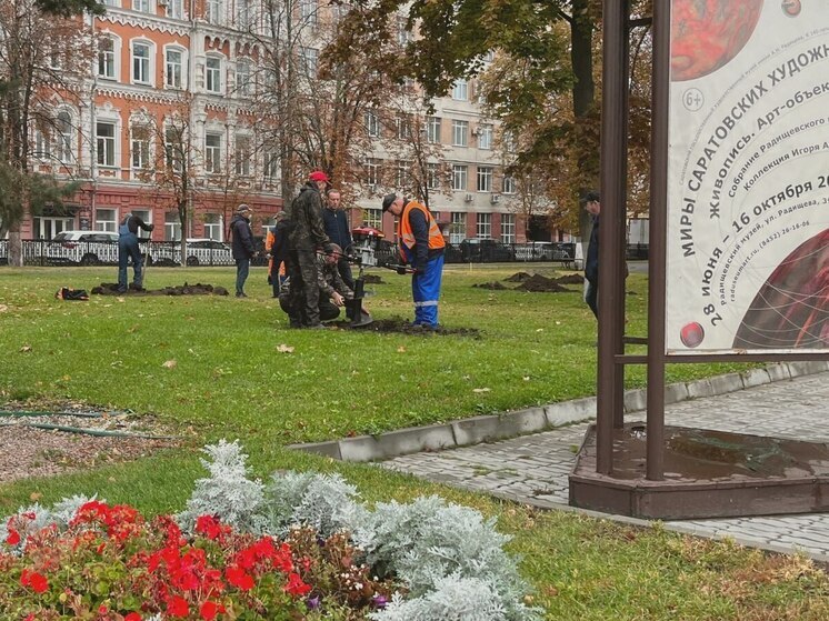 Напротив Саратовской областной думы появилась дубрава