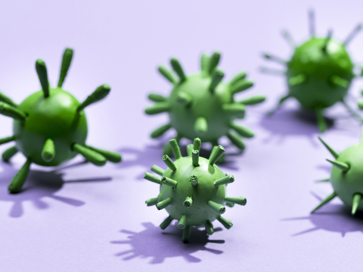 Инфекционист Аглямова: вирус гриппа сохраняется на предметах до 8 часов