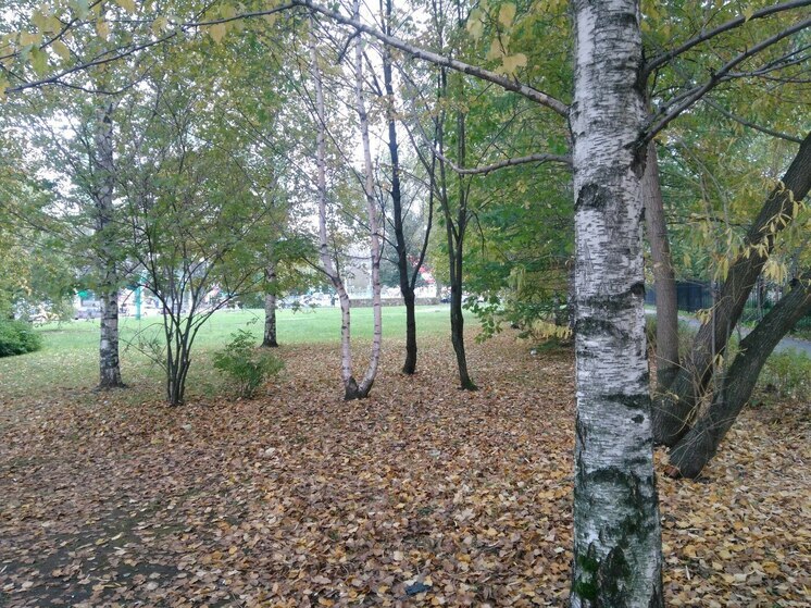 В Перми будет тепло и даже солнечно