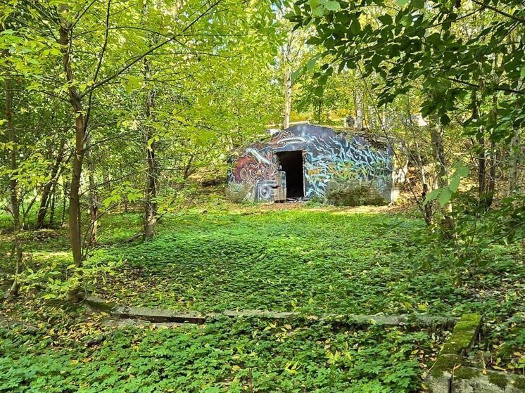 Старинные винные погреба восстановят в Вологде